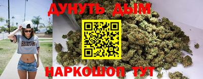 прущие грибы Краснодар