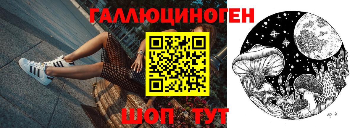 Псилоцибиновые грибы Cubensis  Вход с VPN  Вязники 