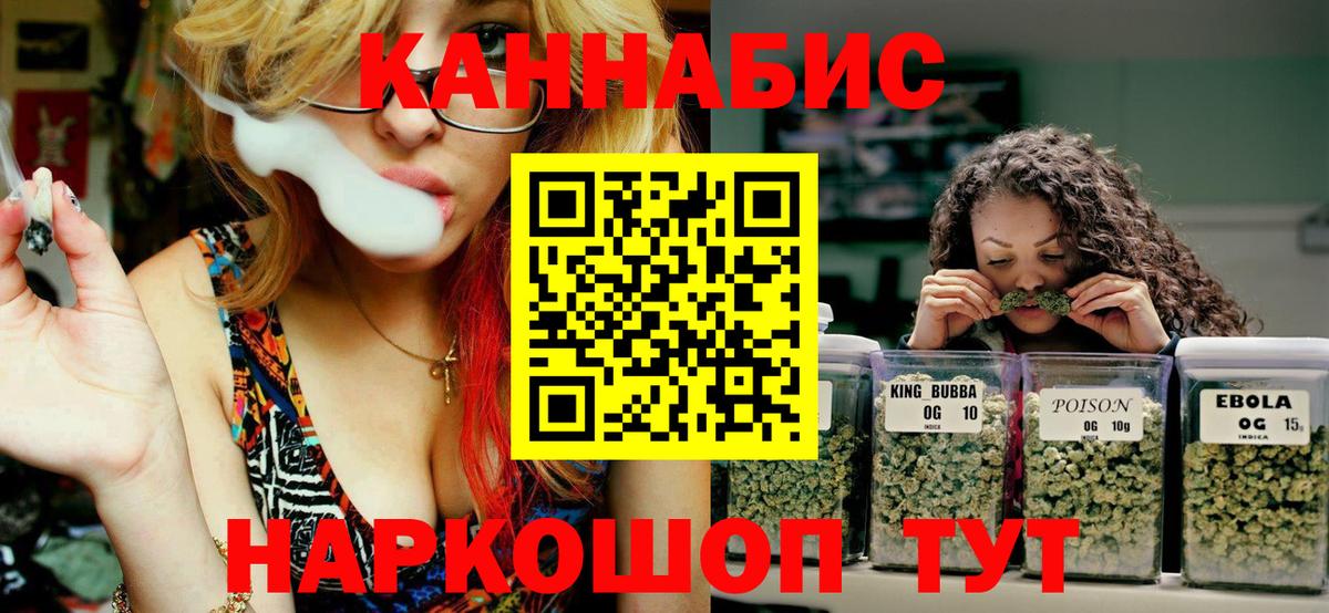 Конопля сатива Вязники